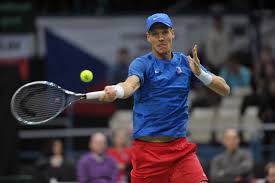 Could that famous forehand be a match winner for Berdych in tomorrow's Davis Cup match against Djokovic? (thanks to stevegtennis.com)